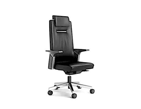 CEO