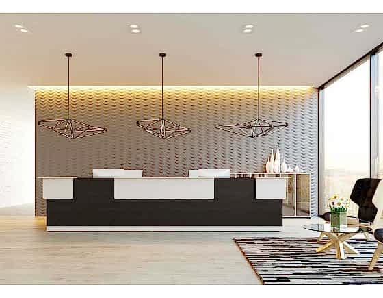 Rio Reception