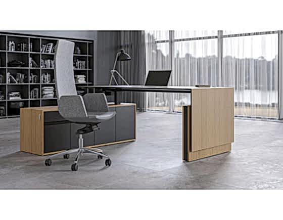 Motion Executive